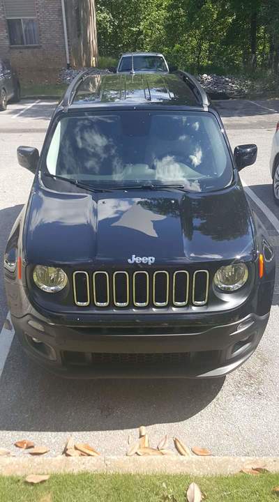Dog Jeep Renegade Hood Decal