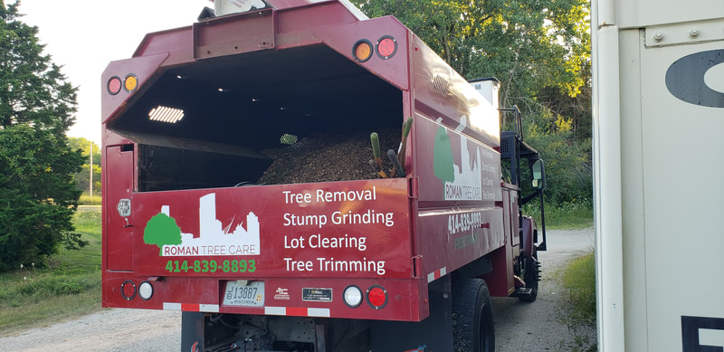 Tree Care Stump Grinding Commercial Business Vinyl Vehicle Graphics Wrap Racine Kenosha Wisconsin (6)