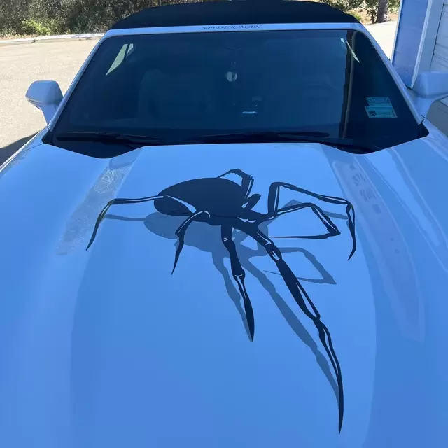 3D Spider Hood Decal Vinyl Vehicle Graphic Racine Kenosha Wisconsin Camaro