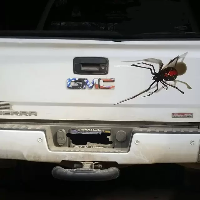 3D Spider Tailgate Decal Vinyl Vehicle Graphic Racine Kenosha Wisconsin GMC