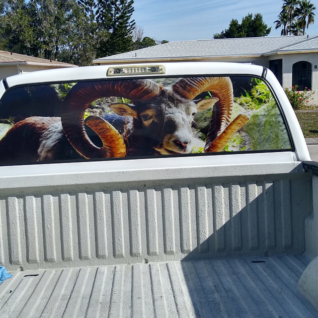 Fits Ram Nature Glass Rear Window Decal Graphic Truck Perf Vinyl Perforated Racine Kenosha Wisconsin