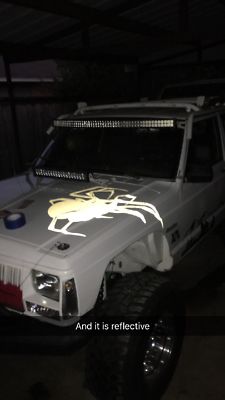 3D Spider Vehicle Decal Reflective