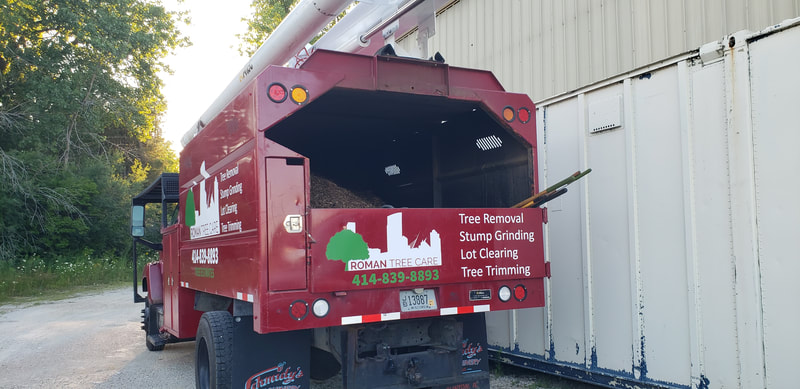 Tree Care Stump Grinding Commercial Business Vinyl Vehicle Graphics Wrap Racine Kenosha Wisconsin (6)